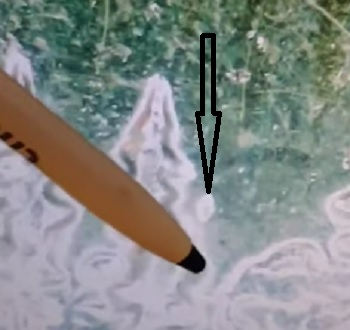 2005 Minnesota Extra Tree Error Quarter