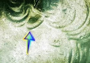 2009 Northern Mariana Islands State Quarter obverse up close with arrow noting the doubling under Washington's Ear