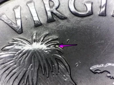 2009 Virgin Islands Quarter die chip error on treetop