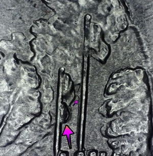 2011 Chickasaw Oklahoma Quarter Error Value