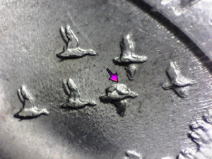 2011 Oklahoma Quarter Errors List