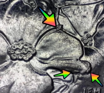 2015 blue ridge parkway quarter error