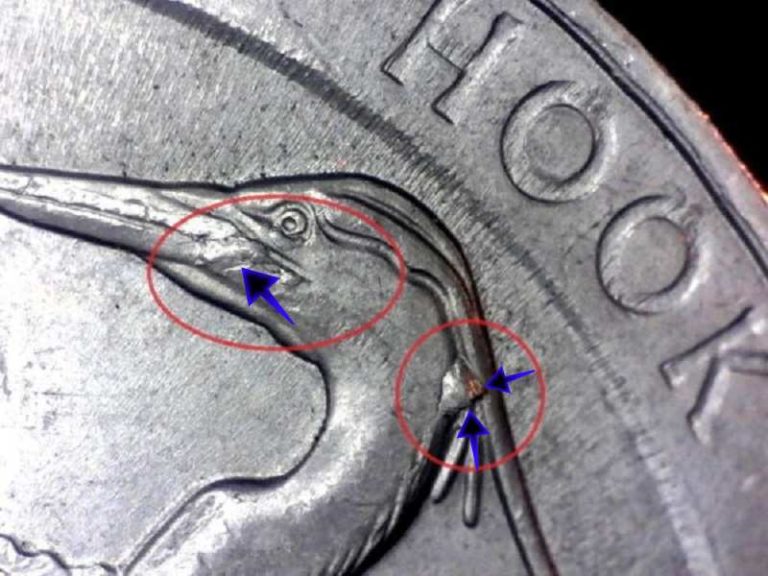 Bombay hook quarter error