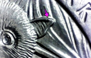 Microscopic image of an arrow noting a die chip error on the reverse of a 2020 bat quarter.