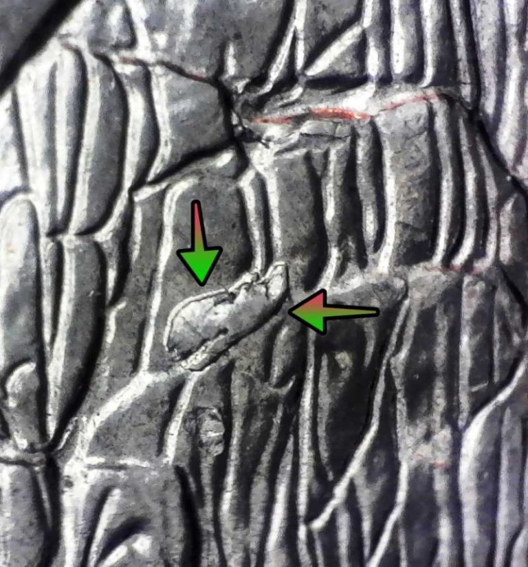 minnnesota quarter error value