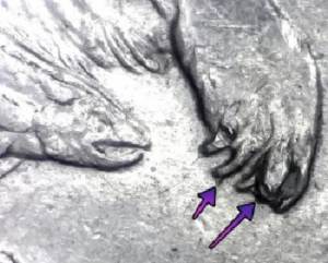 Alaska Quarter Error Extra Claw