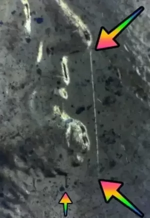 microscopic image of arrows noting a die clash mark on a 2014 penny