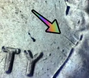 Microscopic image of arrows noting a feeder finger scrape behind Lincoln's neck on a 2020 penny.