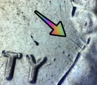 2020 penny error value