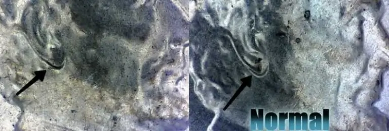 pennies that are worth money