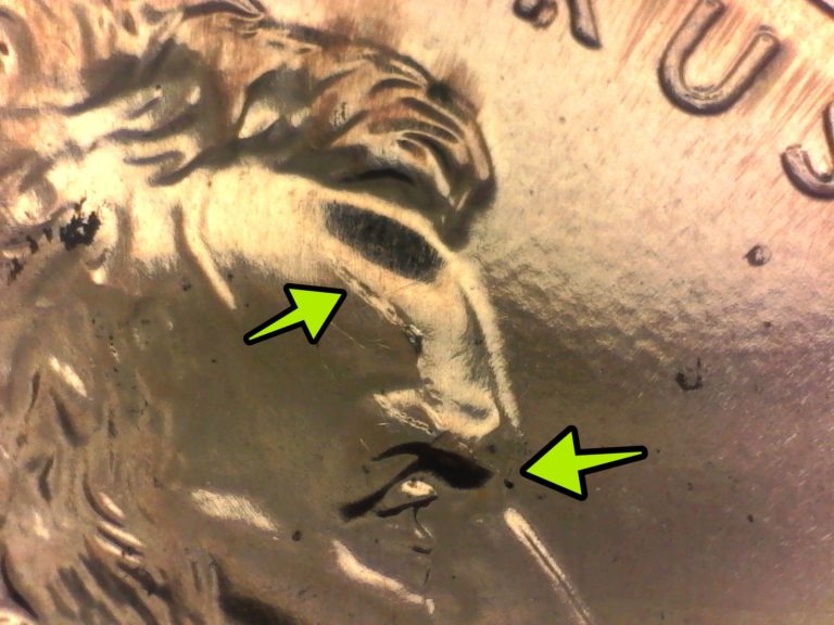 2009 birth penny struck through error