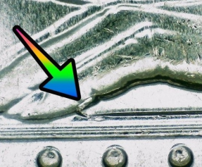 microscopic image of 2022 quarter error