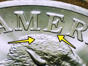 five cents buffalo