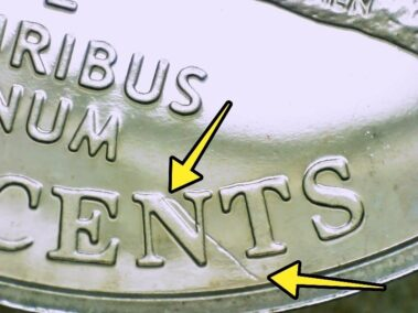 five cents buffalo 2005