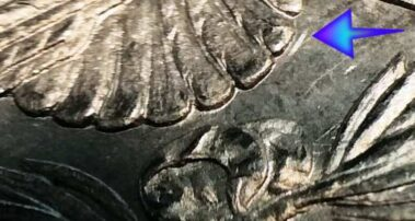 morgan silver dollars