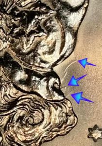 morgan dollar value