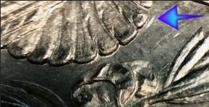 morgan silver dollar coins