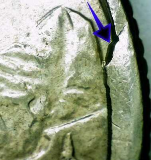 microscopic images of a 2006 colorado quarter cud error