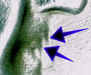 ben franklin silver half dollar