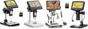 microscope coins