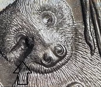 Microscopic view of the 2020-P American Samoa 'Blind Bat' strike-through error on the reverse with arrows pointing to the missing facial detail.