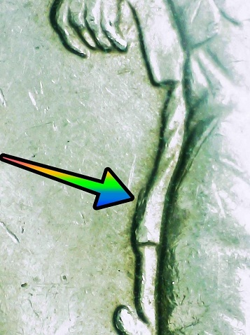 Perry's Victory Quarter Doubled Die