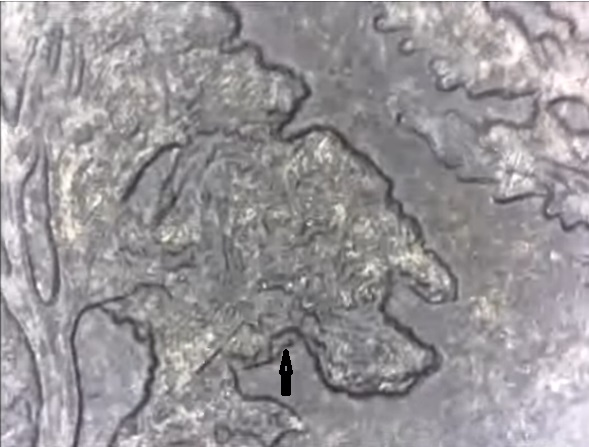 Pictured Rocks Black Beauty Michigan 2018 Quarter doubled die reverse error noted with arrow