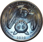 macro image of 2020 american samoa quarter reverse displaying bat error