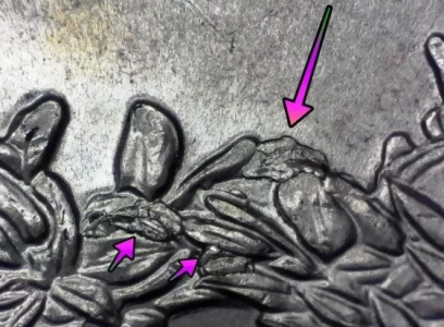 salt river bay 2020 quarter error