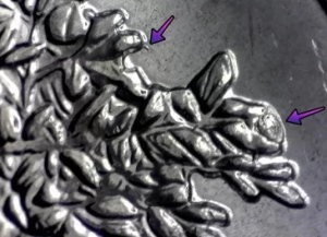 salt river bay quarter errors