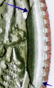 up close image of a cud error coin